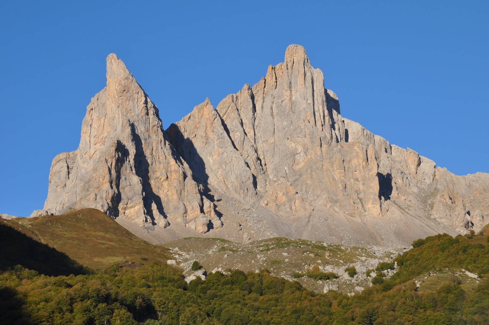 image_1